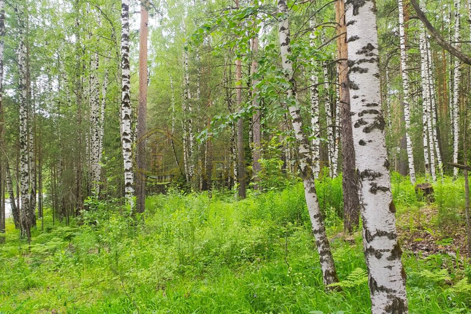 Купить Сад В Дегтярске Свердловской Области