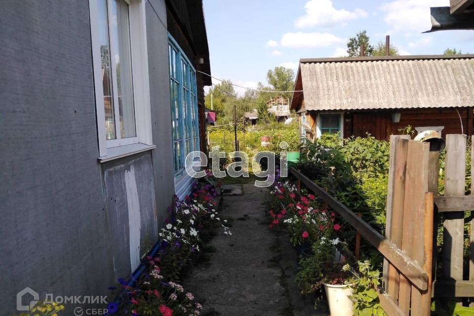 Пихтоварка. Пихтовое масло алтайское. Гора пихтовая братск. Продается дом. Пихтовая мыски.
