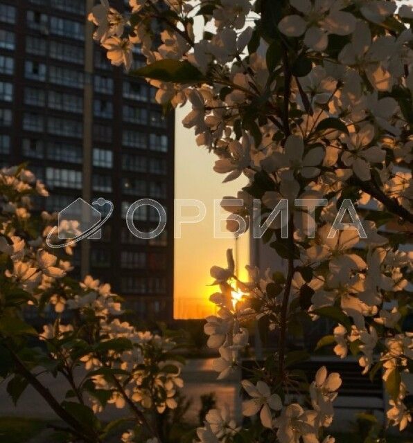 Продаётся студия, 33.3 м²
