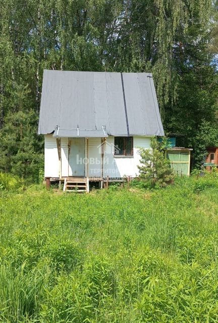 Массив заречная снт заречная. Снт металлист мшинская. Московская обл. Дача в тосно. Массив заречная снт заречная.