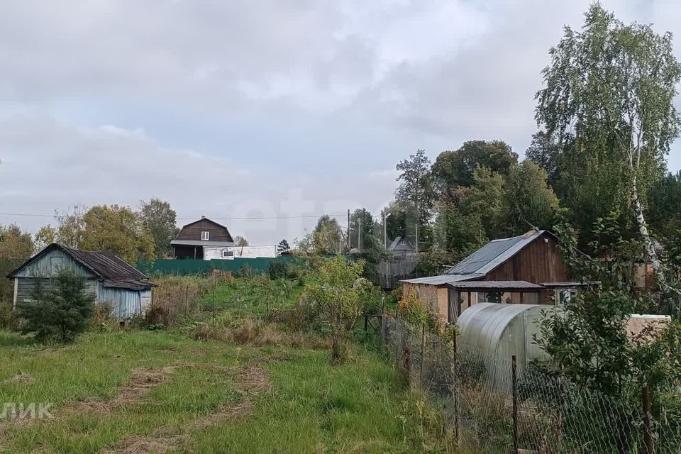 Купить Дачу В Вологодском Районе Молочное