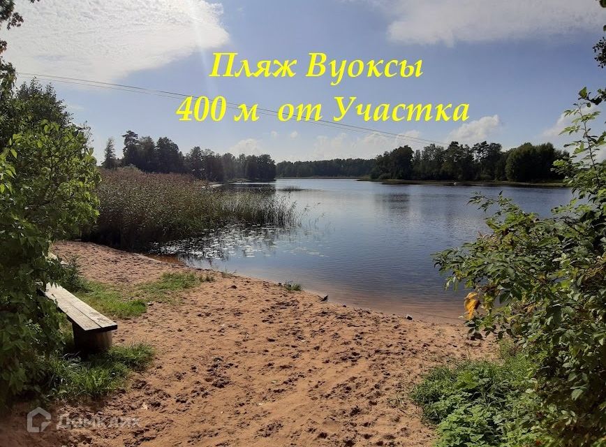 Хвойное приозерский
