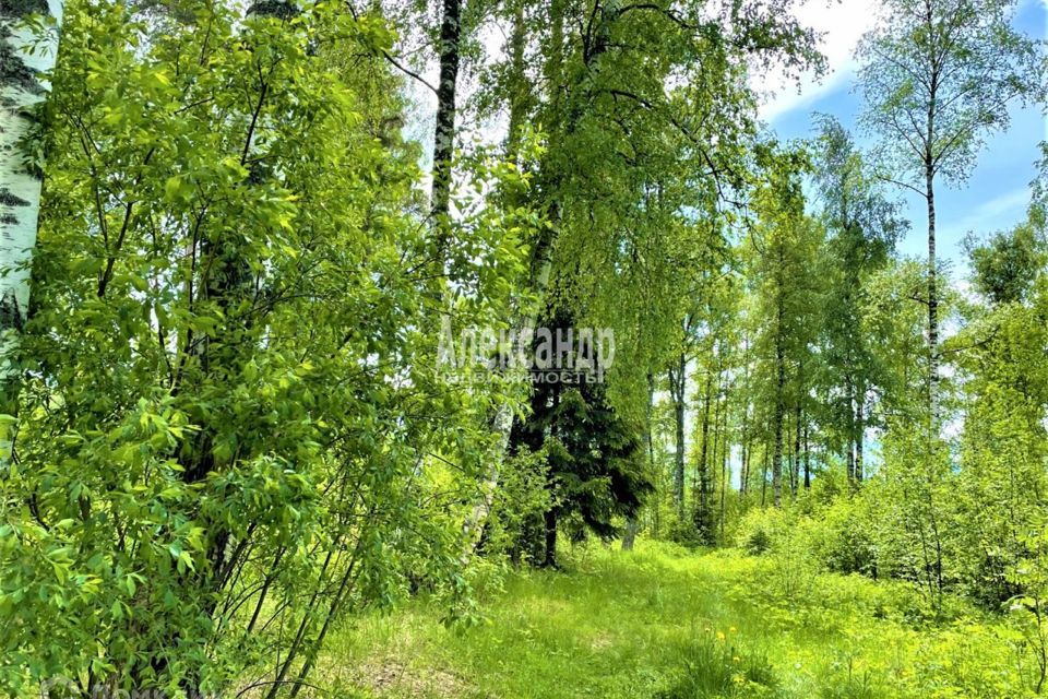 Купить Дом Торфяное Приозерский Район
