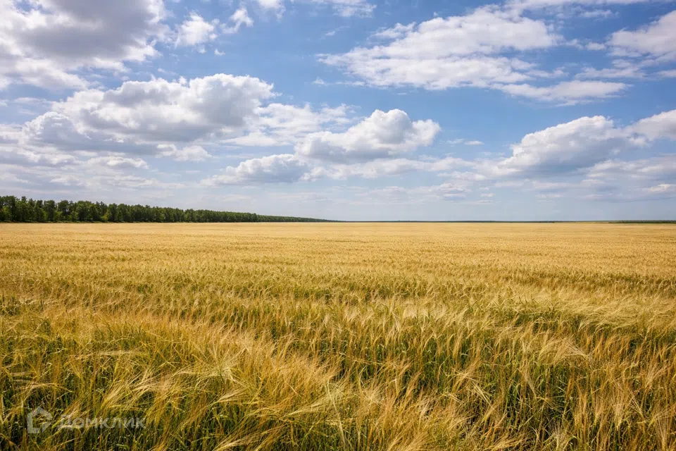 Продаётся участок, 1200 сот., Садовый