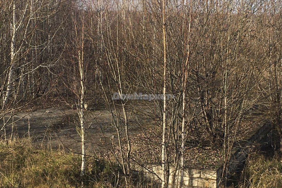 Купить Дом В Верх Егосе