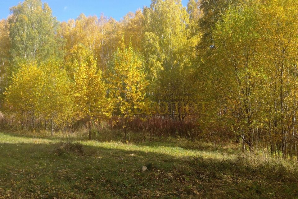 Купить Сад В Дегтярске Свердловской Области