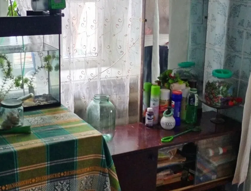 Продаётся 1-этажный дом, 27 м²