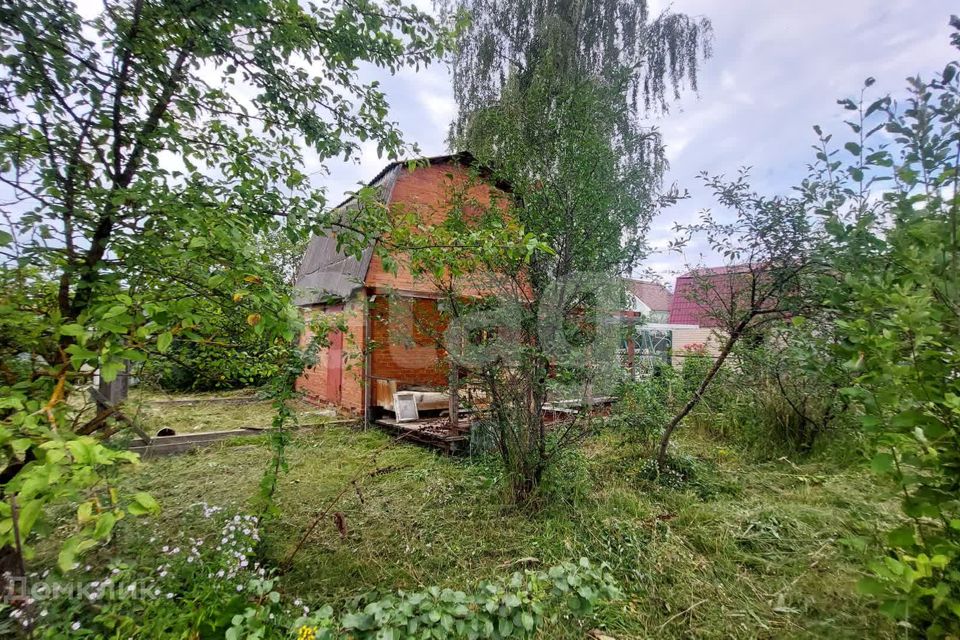Воскресенск Купить Дачу Химик 1