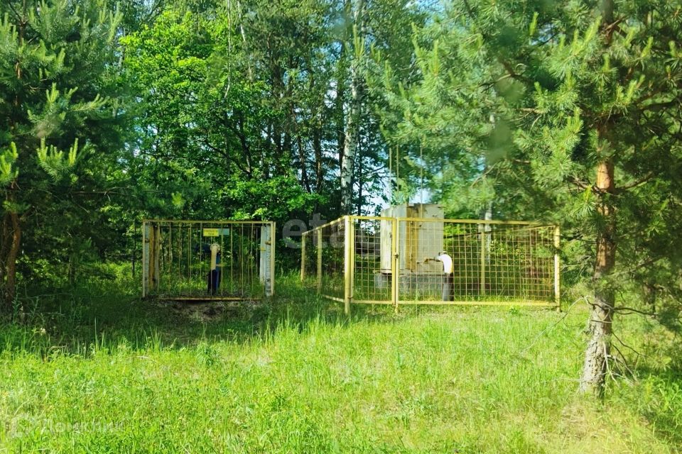 Тсн бор. ТСН серебряные ключи 2