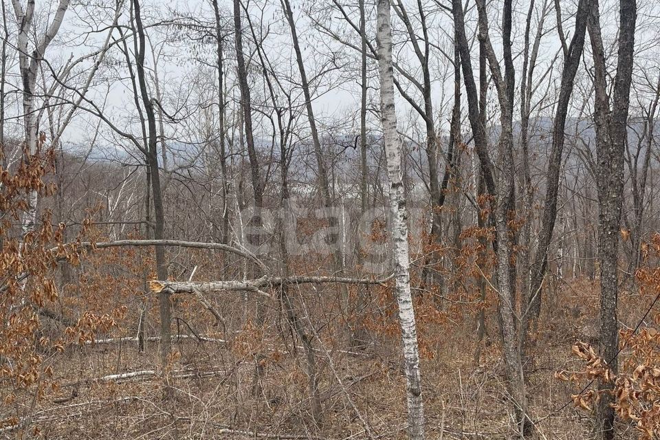 Тигровая падь. Участок во Владивостоке