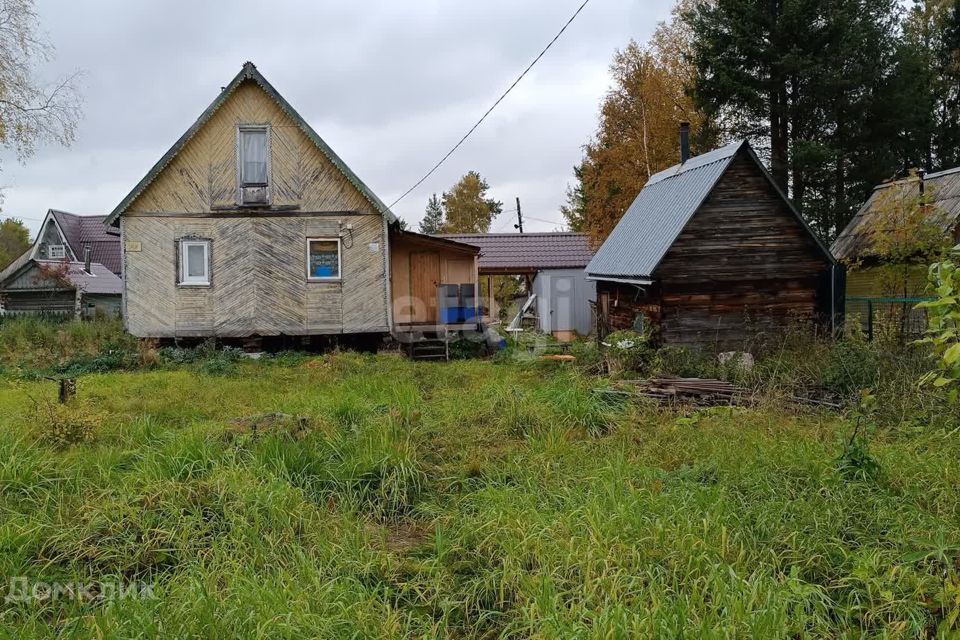 Купить Дачу В Приморском Районе