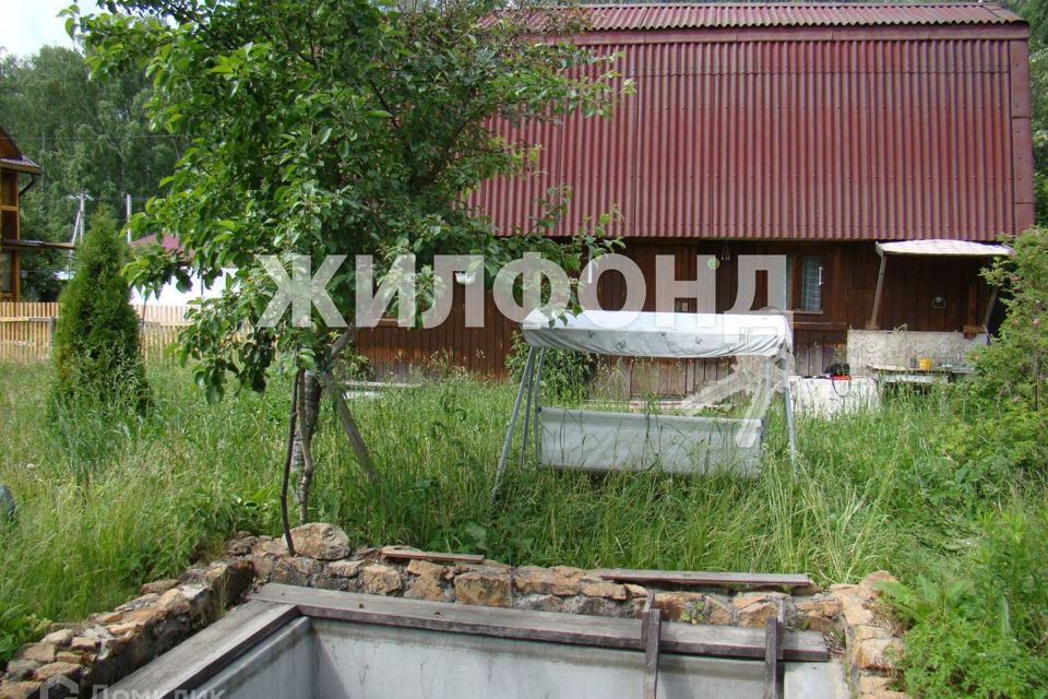 Снт любитель новосибирск. Садоводческое товарищество любитель лебедянь. Снт любитель новосибирск. Снт любитель мочищенское шоссе. Снт любитель новосибирск.