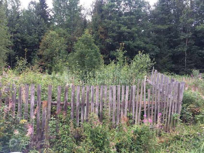 Ижс новгородская область. Деревня Бараниха Новгородский. Бараниха Новгородская область. Бараниха Новгородский район.