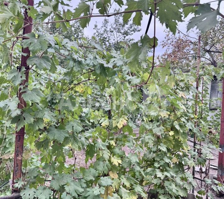 Продаётся 1-этажный дом, 83.2 м²