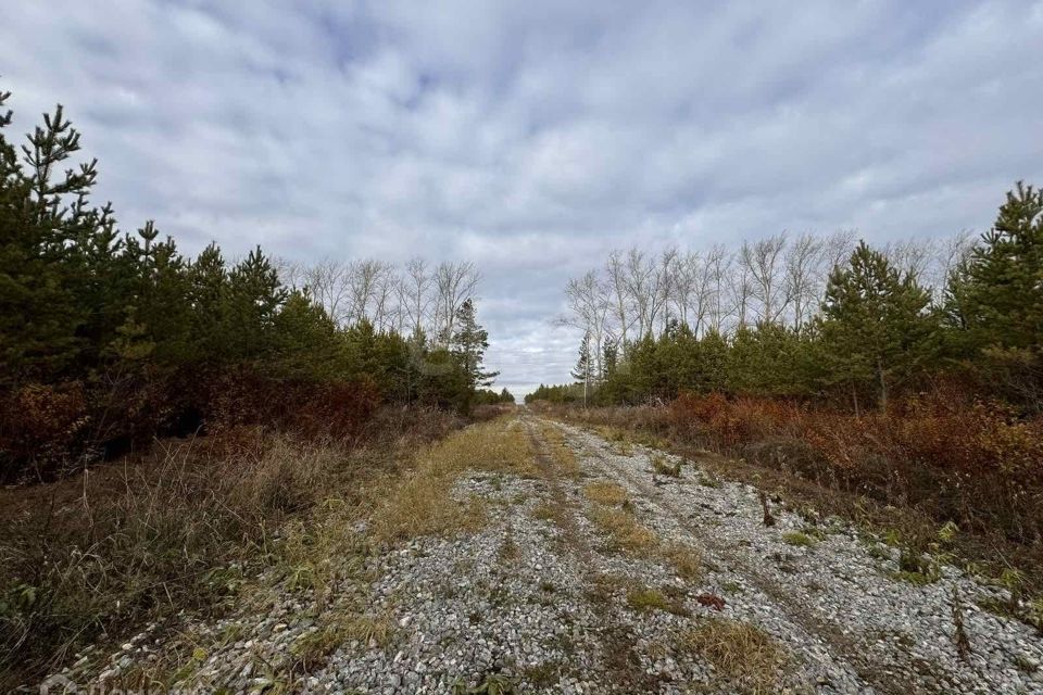 Талица земельные участки. Запышминская 27 п маян. Талица земельные участки. Талица земельные участки. Запышминская 27 п маян.