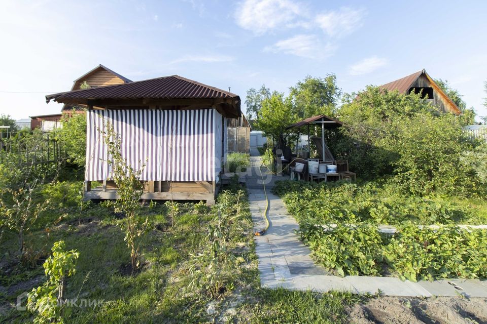 Купить Дачу Ялуторовский Тракт Тюмень В Снт