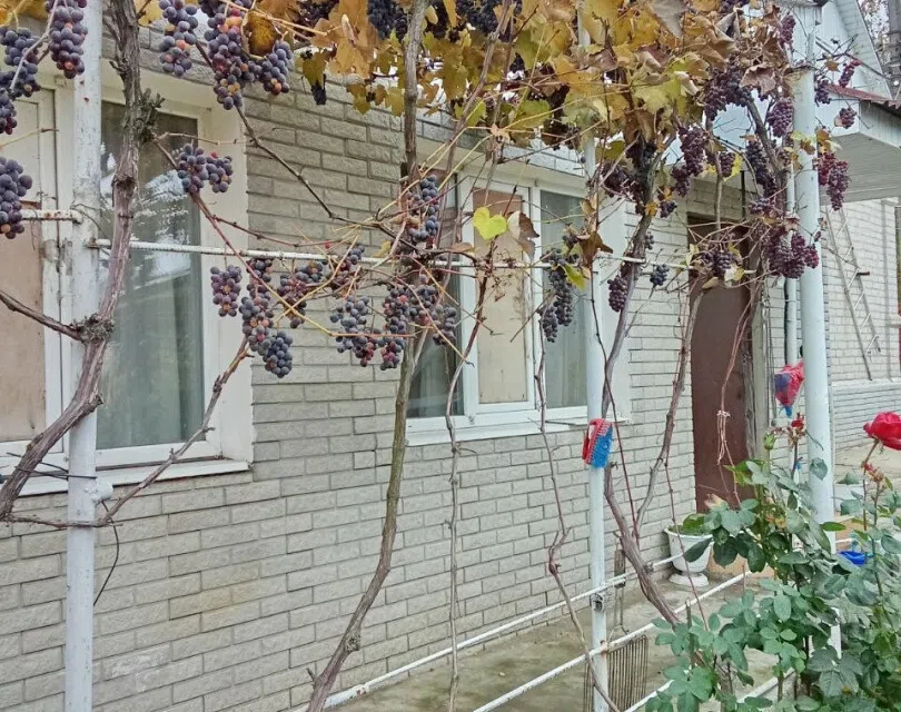 Продаётся 2-этажный дом, 117.1 м²