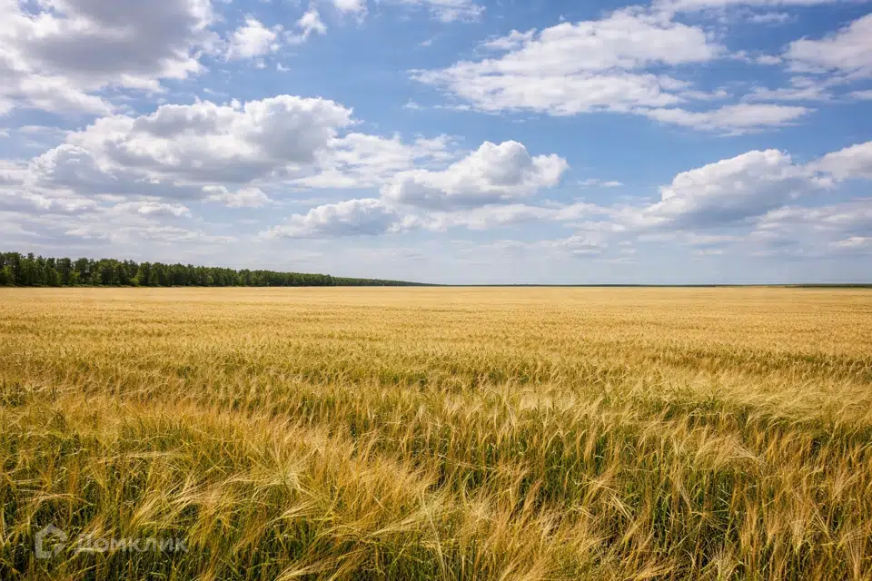 Продаётся земельный участок, 1200 сот.