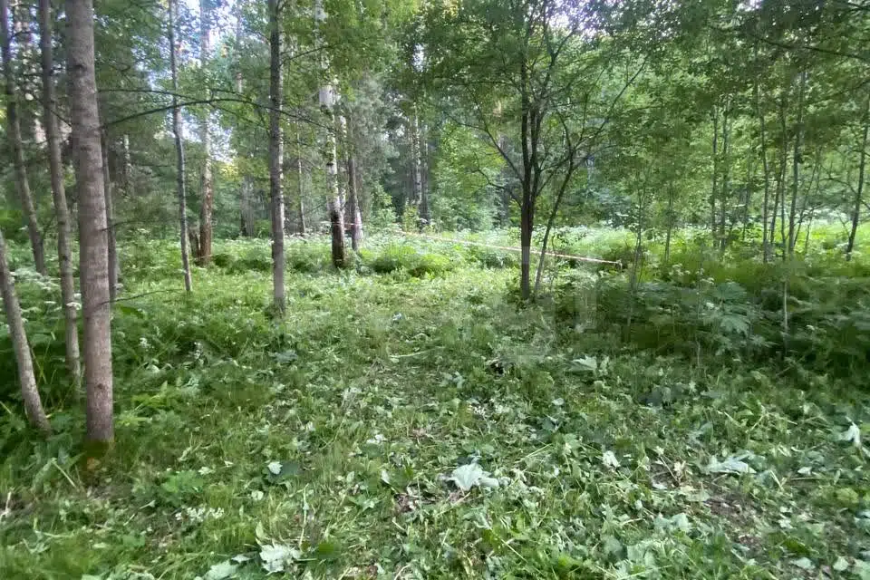 Продаётся участок, 10.55 сот., Садовый