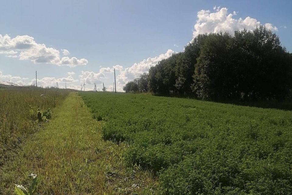 Першино Раменский Район Купить Земельный Участок