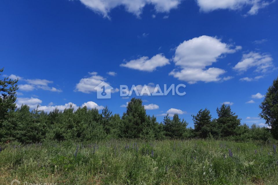 Купить участок 40 соток по адресу Камешковский район, деревня Курменево - id 474