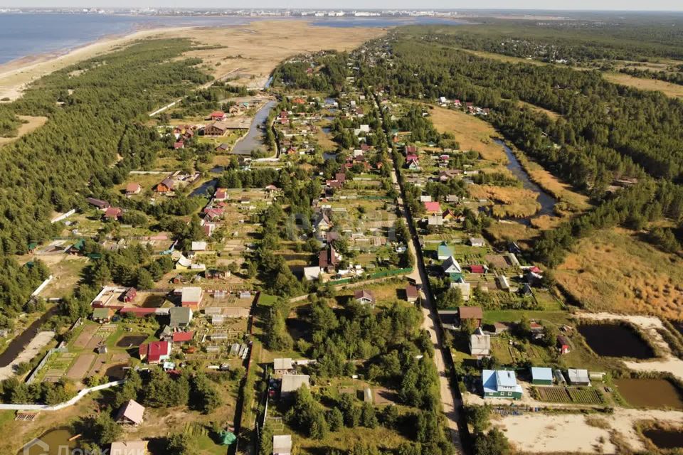 Зелёный Бор Архангельская область. Онежский тракт.