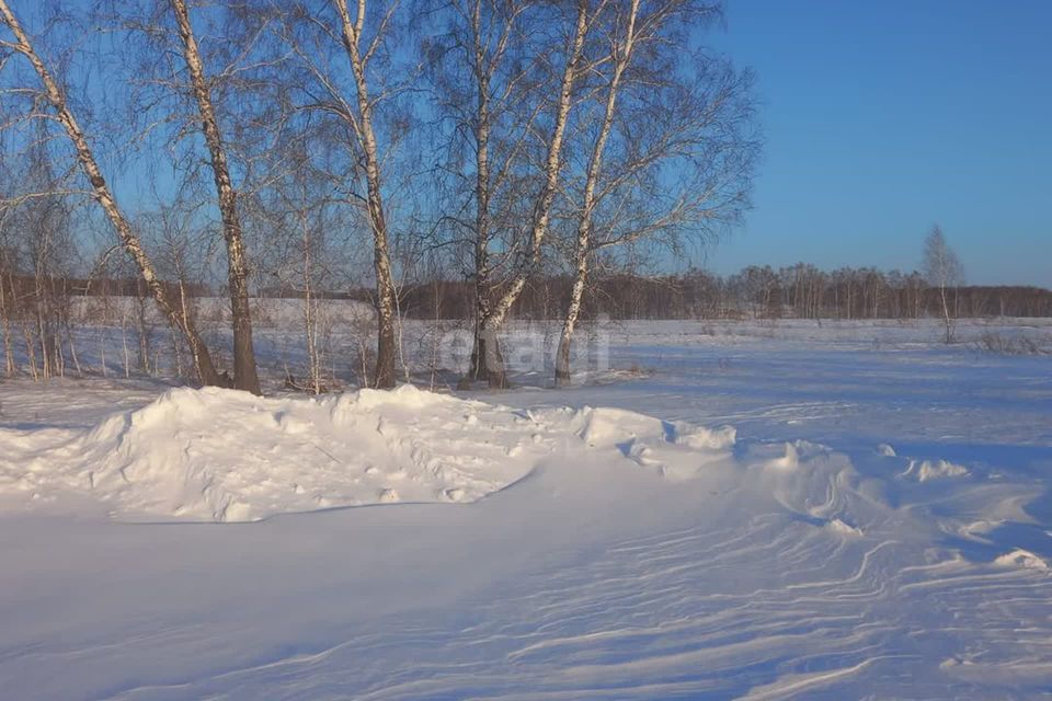 Купить Земельный Участок В Верх Туле Новосибирской