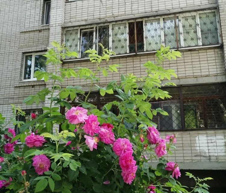Продаётся 3-комнатная квартира, 79.5 м²