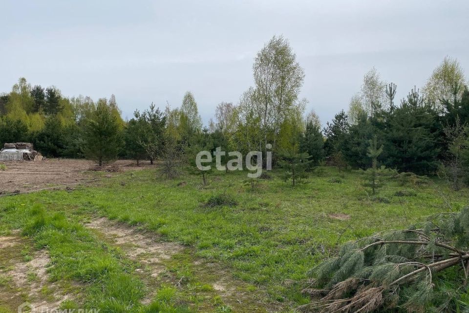 Смена городской округ калуга деревня андреевское фото