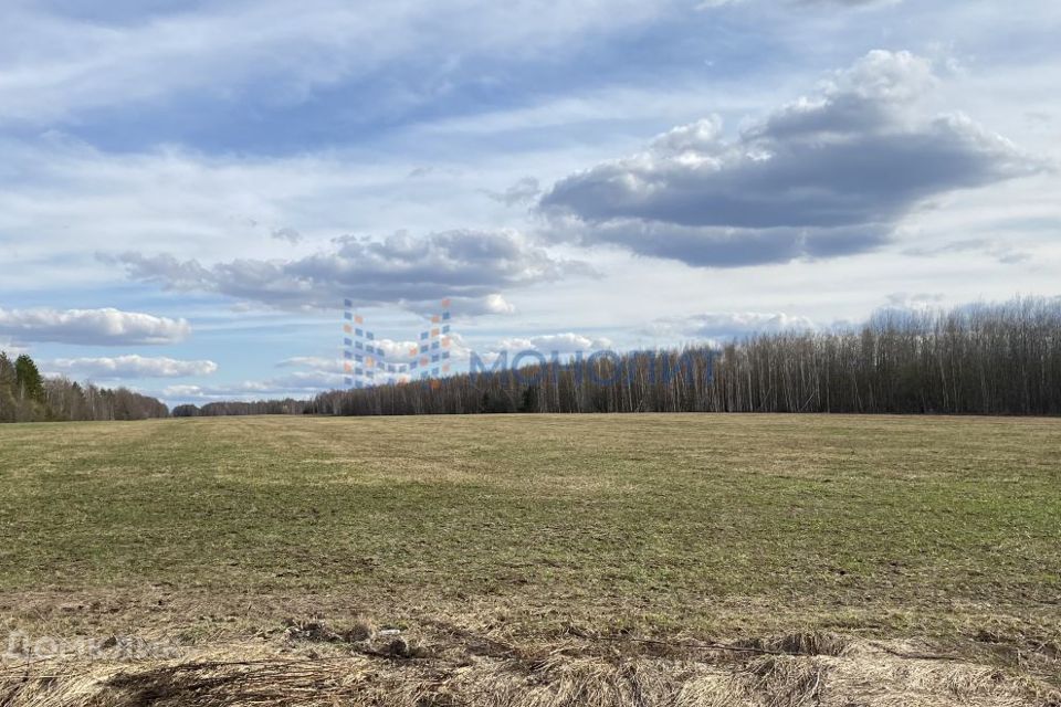 Купить Дачу В Лисьих Ямках Нижегородской Области