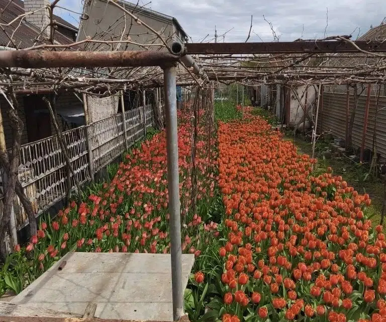 Продаётся 2-этажный дом, 98.2 м²