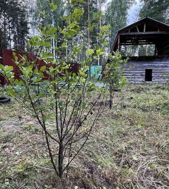 Купить Дом В Снт Архитектор В Тюмени