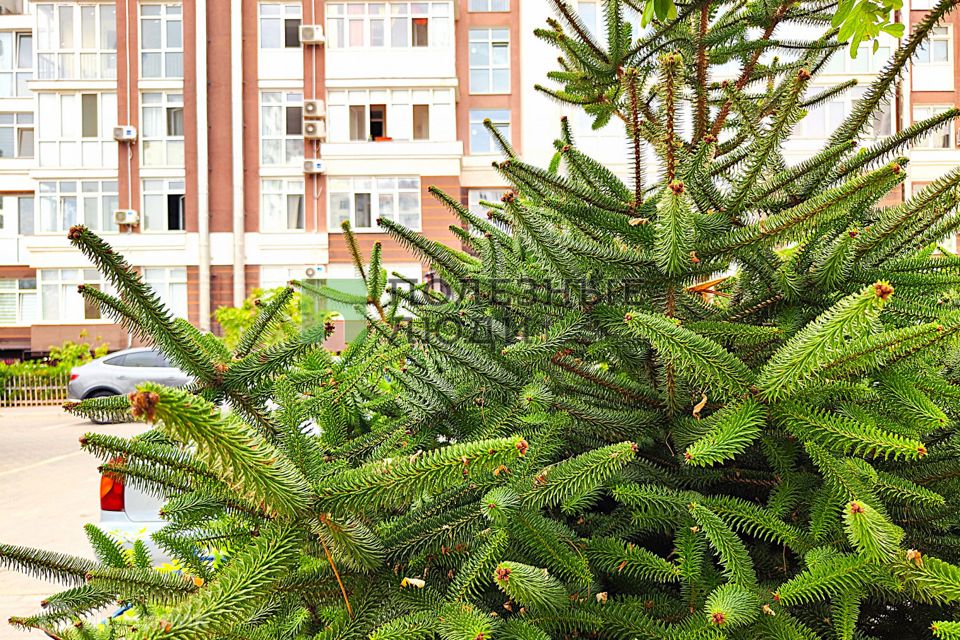 Продаётся 1-комнатная квартира, 33 м²