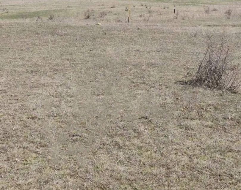 Село камышинка