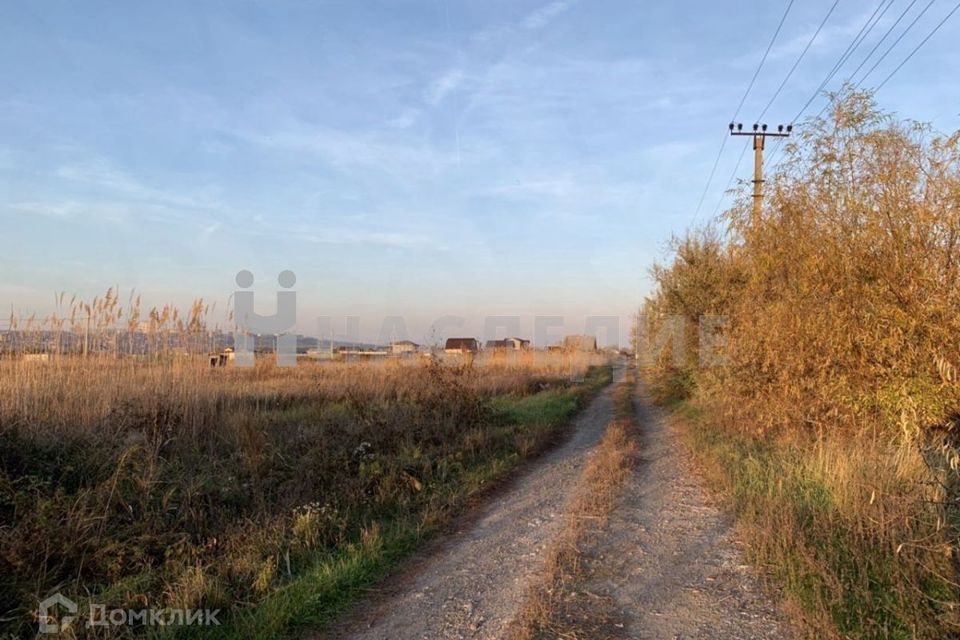 Станица Ольгинская Ростовская область