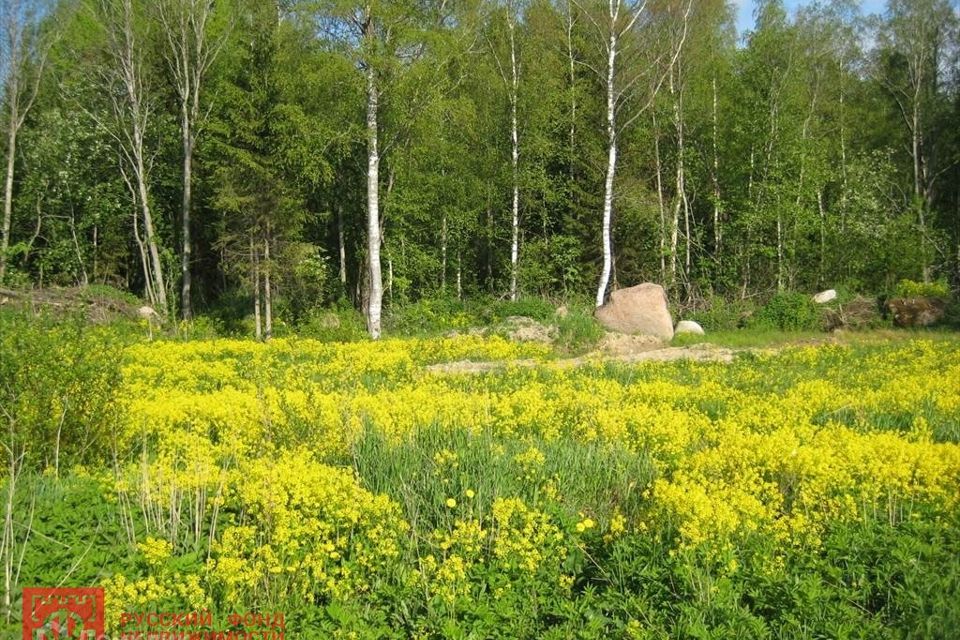 Ломоносовский район ленинградской области фото