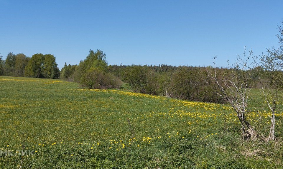 Купить Земельный Участок Выборгском Районе