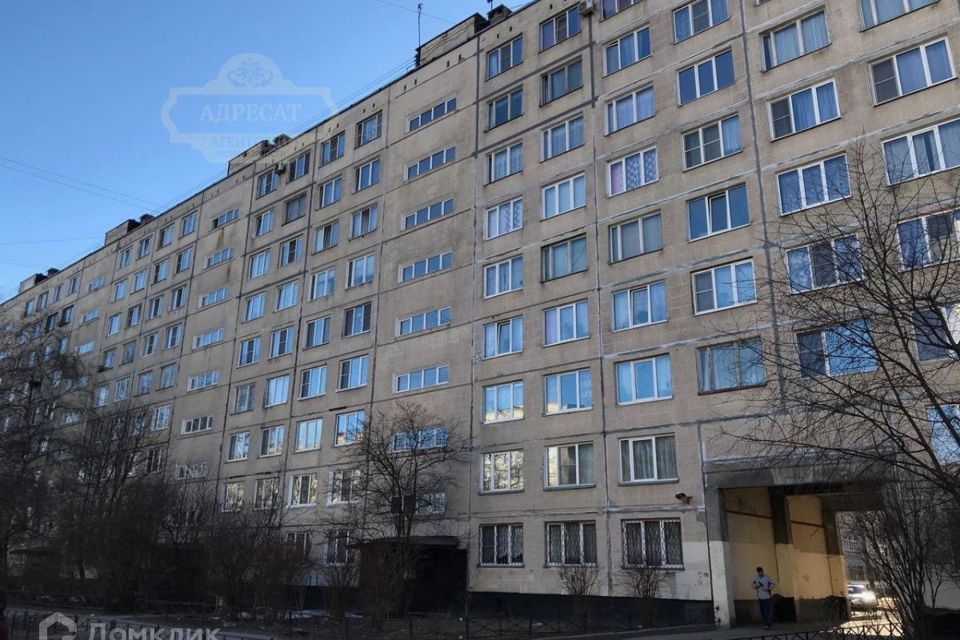Товарищеский проспект 28к1. Товарищеский просп. Товарищеский проспект 28к1. Товарищеский проспект 6к1. Товарищеский проспект санкт-петербург.