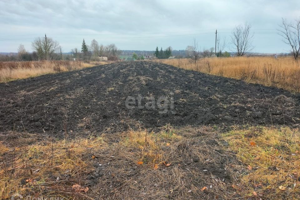 Нижняя калиновка орловский. Нижняя калиновка ростовская область фото дороги.
