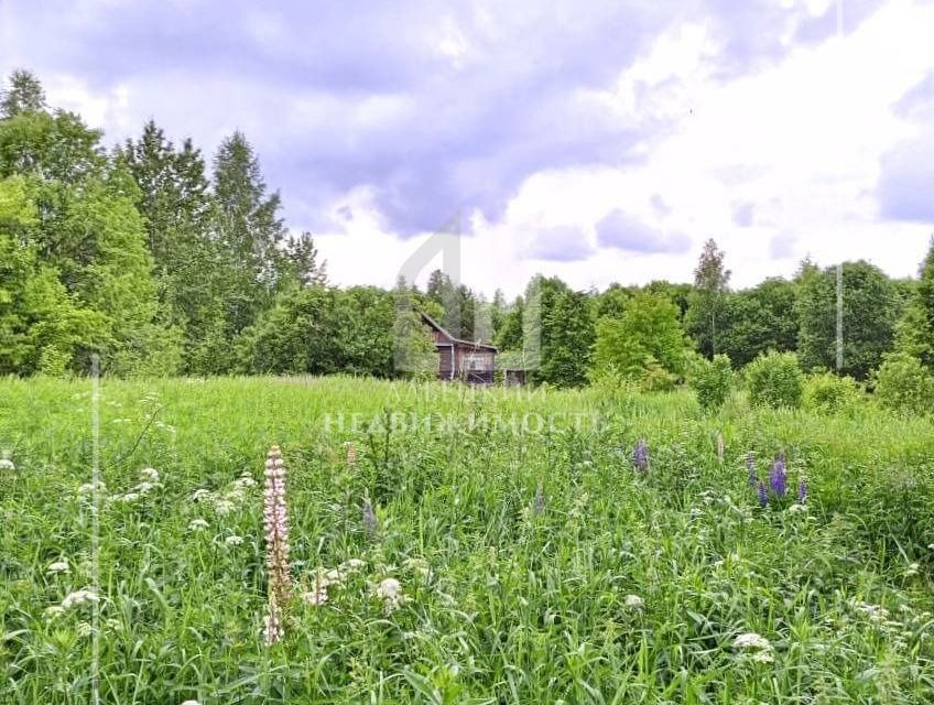 Новгородская Область Купить Участок Ижс