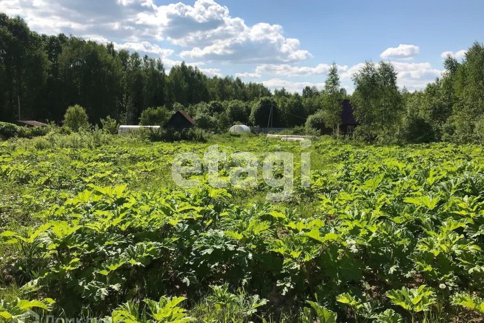 Марьино калужская область