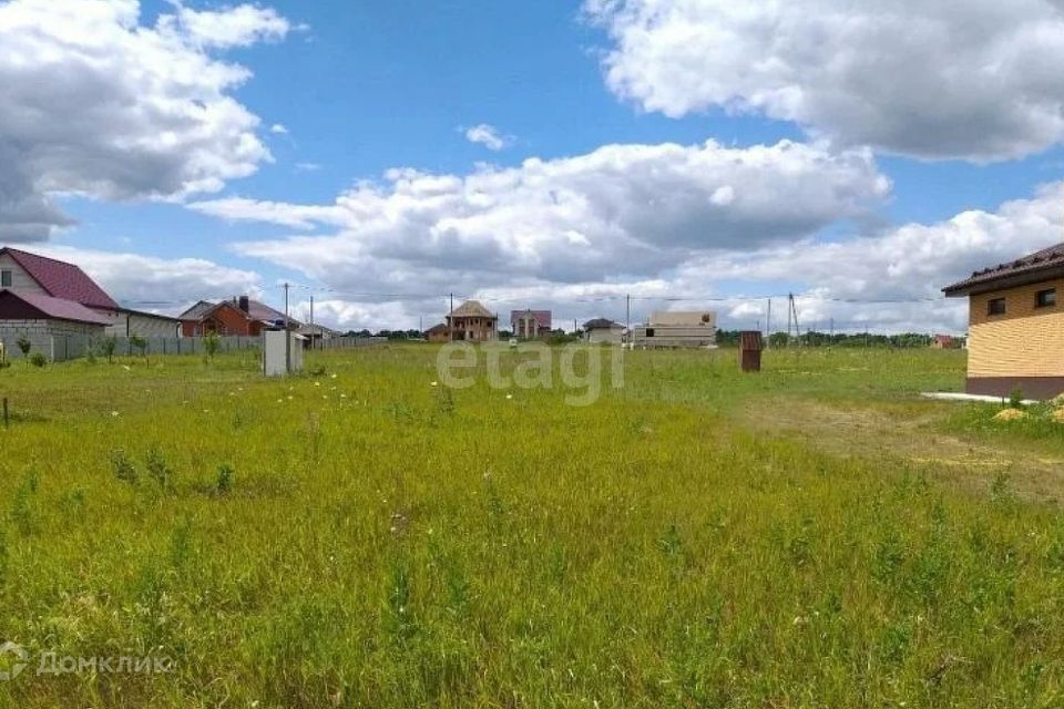 Посёлок возрождение преображеновка. Село боринское. Боринское достопримечательности. Село боринское. Село боринское улица полевая.