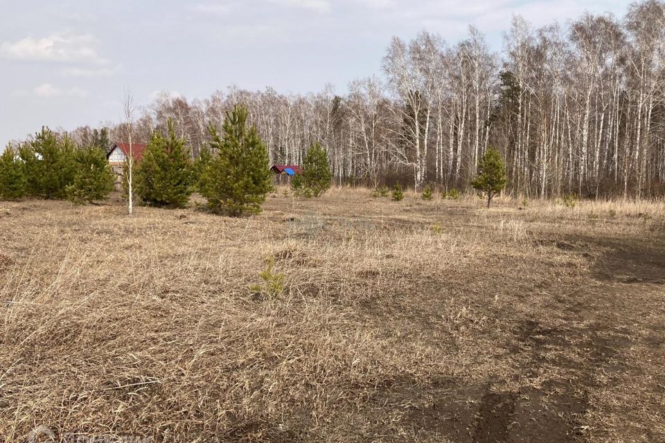 Баня хаус красноярск фото. Днт марлин. Днт марлин. Днт марлин. Днт марлин.