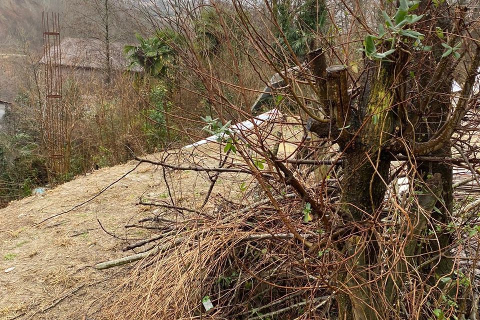 Купить Участок В Сочи Пластунка