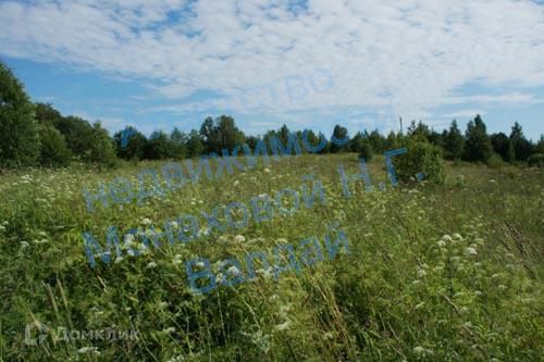 Новгородская 50. Деревня Нелюшка Валдай. Деревня Нелюшка Новгородской области. Раглицы Новгородская область озеро.