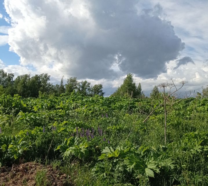 Купить Земельный Участок В Смоленске Ижс