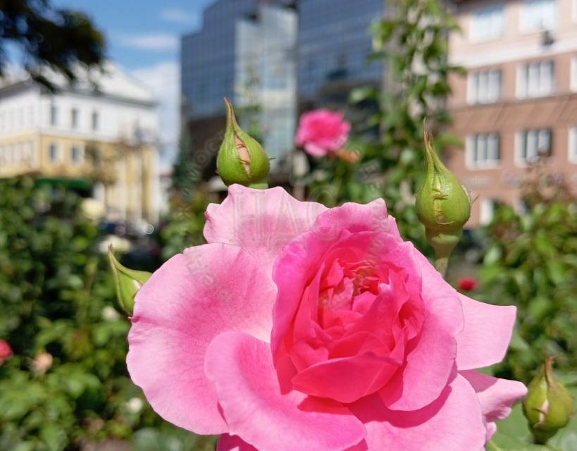 Продаётся 3-комнатная квартира, 75 м²