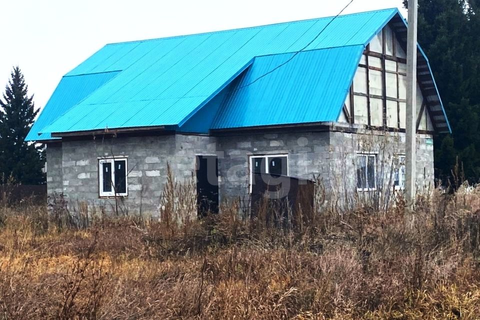 Безменово новосибирская область