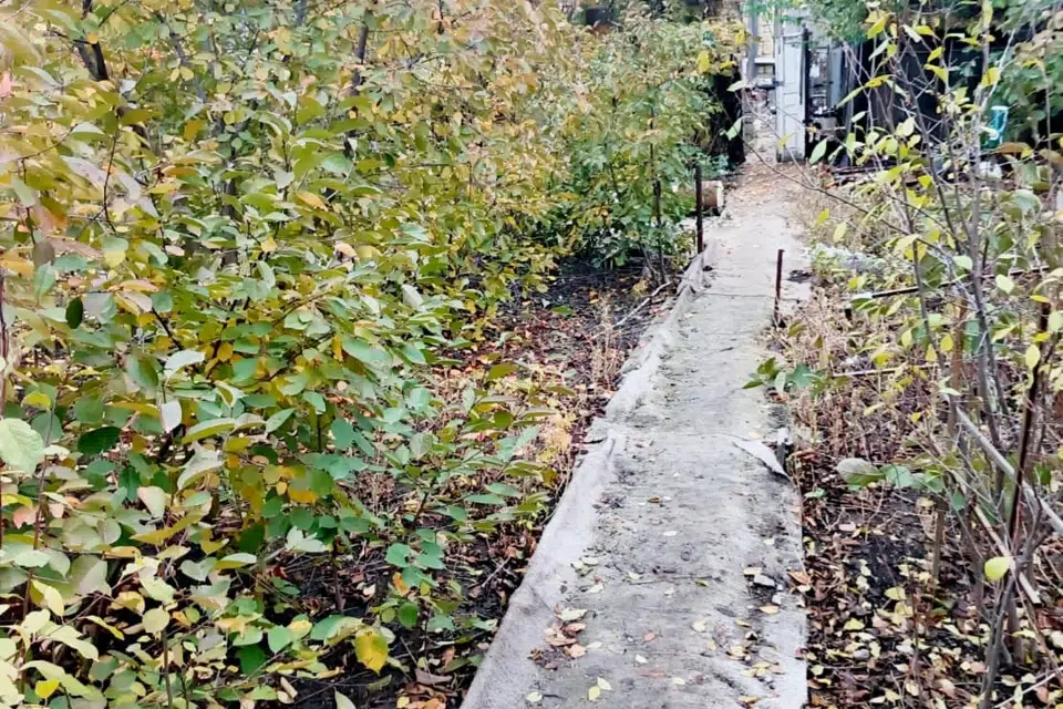 Продаётся 1-этажный дом, 50 м²