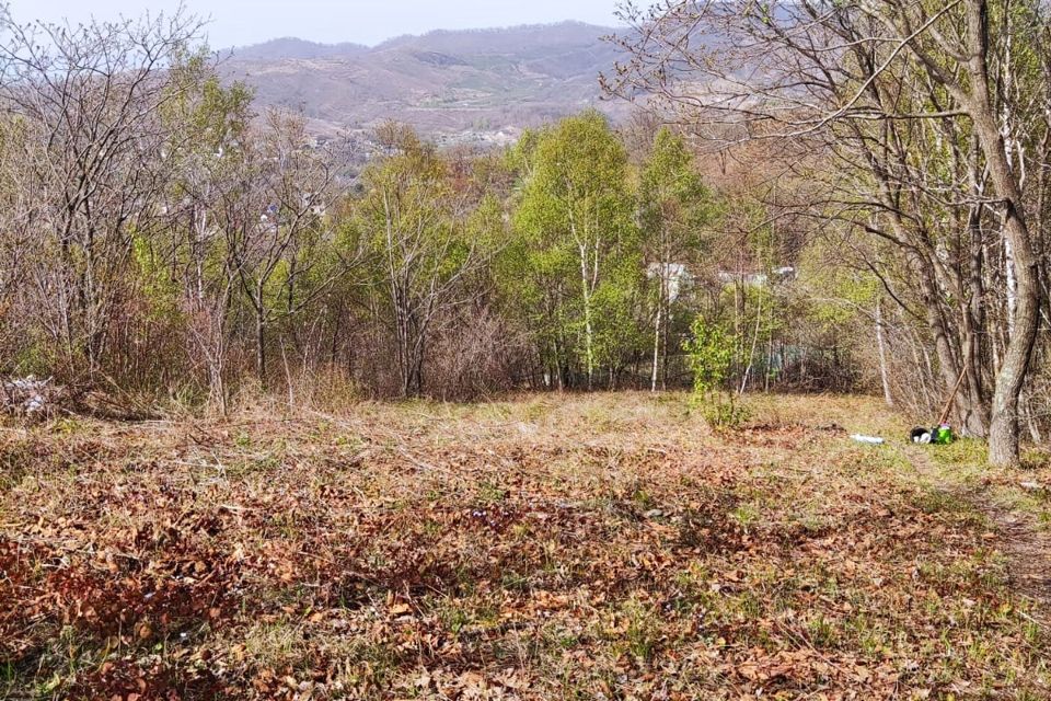 Купить Дачу В Находке Золотари
